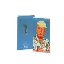 כיסוי לדרכון מגניב באיור בדמותו של דונלד טראמפ - Donald Trump